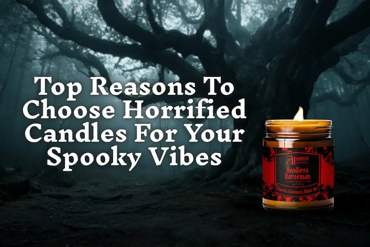 an eerie forest path with white text over it